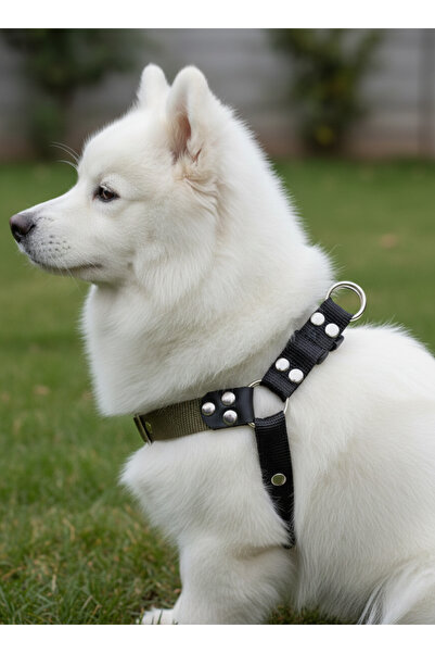 balkonda طوق للكلاب من النوع الصغير والمتوسط ​​الحجم، حبل قابل للتعديل باللون الكاكي والأسود