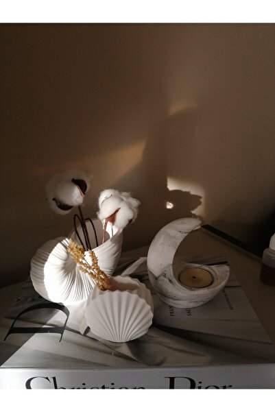 ZUYKA HOME Deniz Kabuğu vazo & mini istiridye vazo & Ay şeklinde tealıght mum...