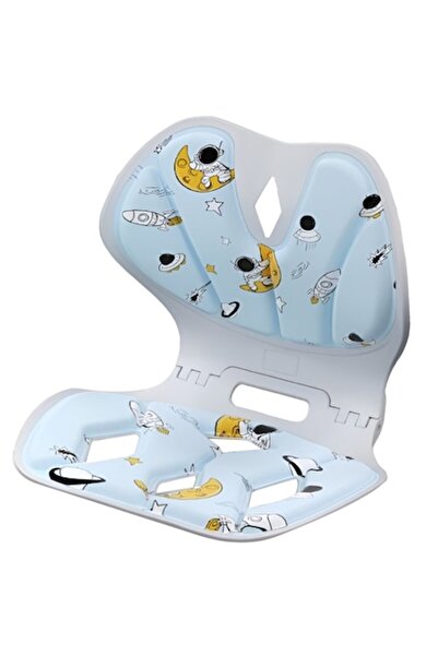 Danex Posture Correction Seat Support, Portable Foldable Ergonomic, Size L, Blue (35x32x30 cm)