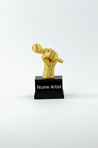 ChillOutlet Personalized Music Trophy with Artist Name, 17 x 11 x 4.5 cm