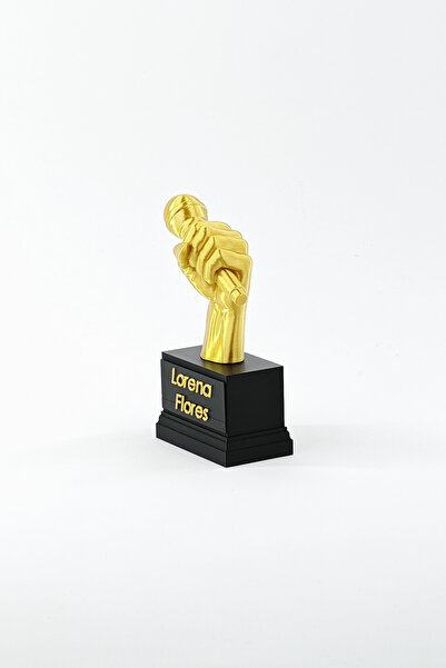 ChillOutlet Personalized Music Trophy with Artist Name, 17 x 11 x 4.5 cm
