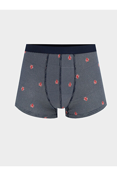 LC Waikiki Vizyon New Season Standard Fit Cotton Flexible Men's Boxer