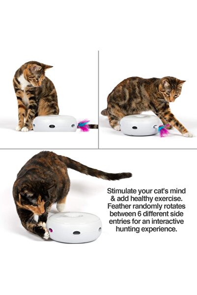 NO BRAND Cat toy, silent, 3 settings, night light, automatic shutdown, including battery, replaceable spring