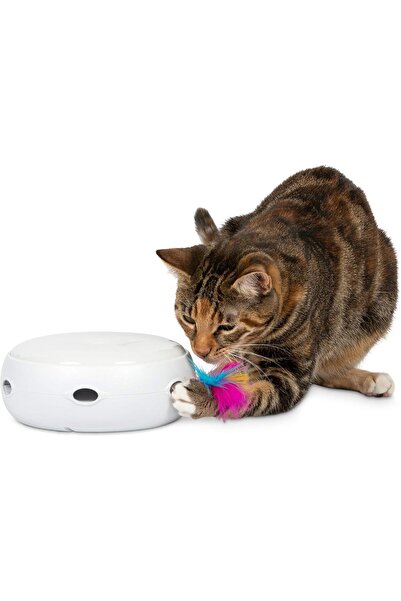 NO BRAND Cat toy, silent, 3 settings, night light, automatic shutdown, including battery, replaceable spring