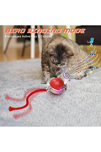 NO BRAND Cat toys, rechargeable, stimulate cats' hunting instincts, provide all floors and carpets