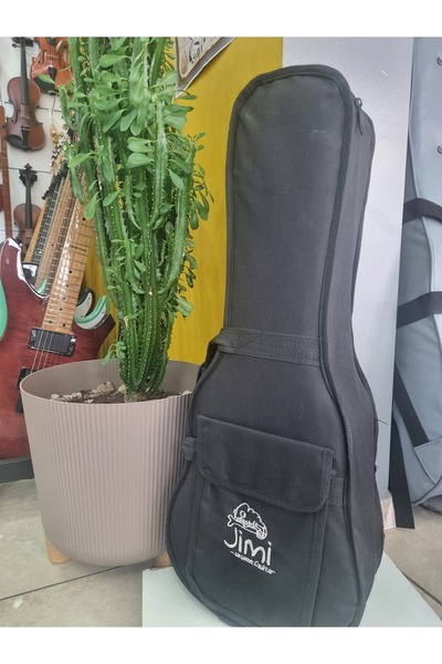 Concert boy ukulele case ( gigbag)