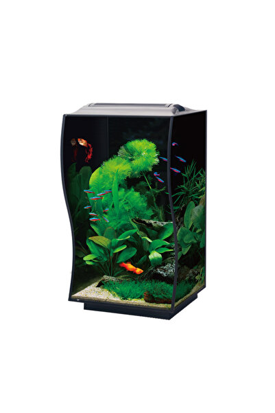 ANUBIAS AQUARIUM LIVE PLANTS Anubias Guppy 36 Nano Akvaryum Siyah 36 x 32 x 5...