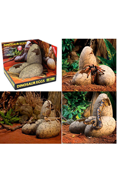 Exo Terra Dinazor Yumurtası Şekilli Yuva