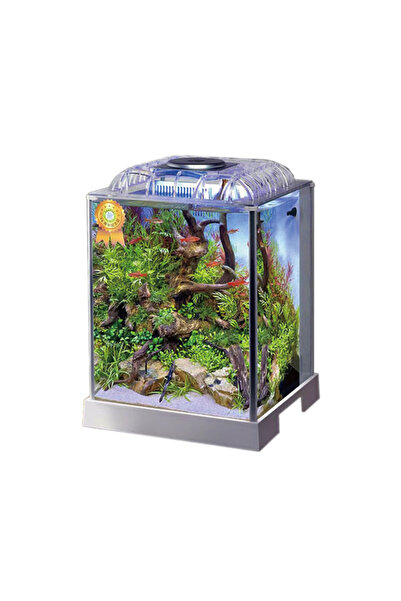 ANUBIAS AQUARIUM LIVE PLANTS Anubias Neon 27 Nano Akvaryum Beyaz 26,8 x 26,8 ...