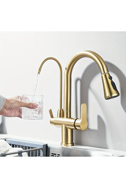 OEM 3-Way Kitchen Faucet for Filtered Water, Pull-Out Spray, Brushed Gold, Code 1016-G