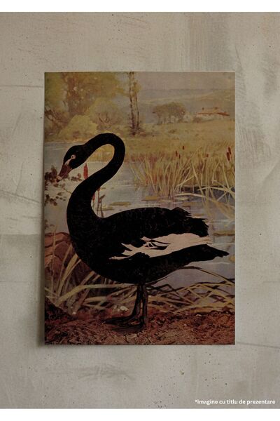 VreauPoster Poster A4 Birds and nature 2 Carton 250gr