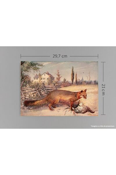 VreauPoster Poster A4 Birds and nature 4 Carton 250gr