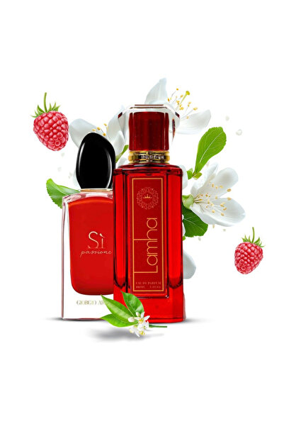 ard-ajdad A glimpse of perfume