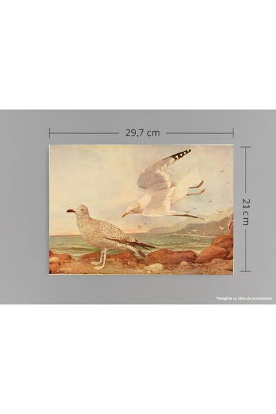 VreauPoster Poster A4 Birds and nature 6 Carton 250gr