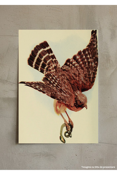 VreauPoster Poster A4 Birds and nature Carton 250gr