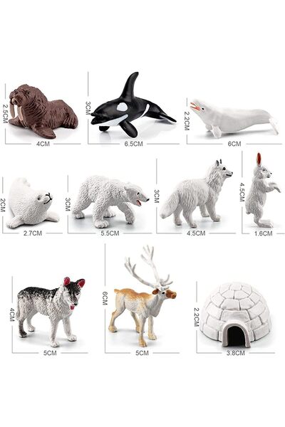 Generic Joiz Sensory Baby Toy - Silicone Crab Montessori Pull-String Toy for 12+ Months