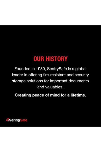Sentrysafe Fire and Water Resistant Safe Box with Key Lock, Portable with Int...