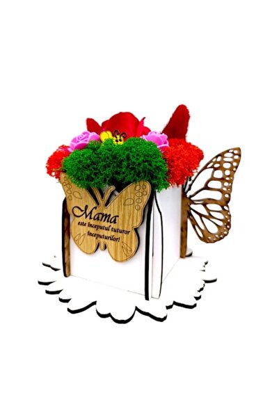 OEM Cutie decorativă personalizată în formă de inimă cu mușchi stabilizat și ...