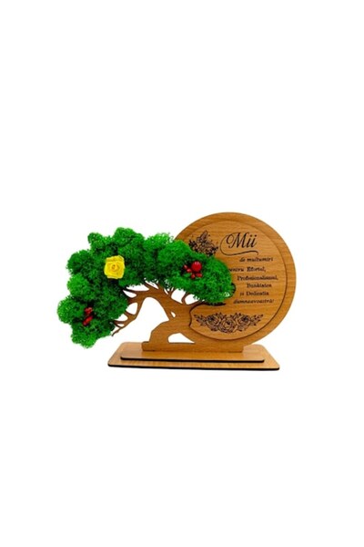 OEM Personalized gift decoration with standard message for Doctor/Teacher/Edu...