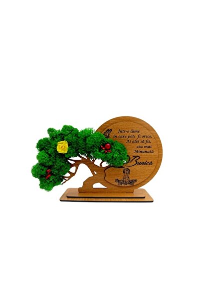 OEM Cadou decorativ personalizat cu bonsai pentru bunică, maro, 30x19 cm