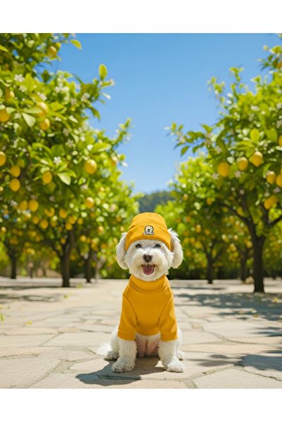 Lokums طقم ملابس أساسية للكلاب وقبعة للكلاب - قماش ناعم، طقم دافئ للشتاء