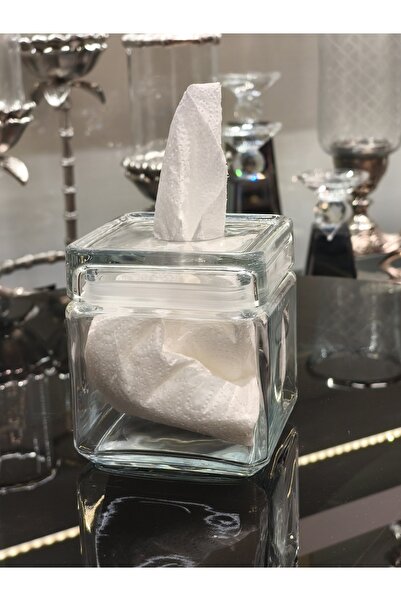 P&ORA PREMIUM KITCHEN PRODUCTS Transparent Napkin Holder Single