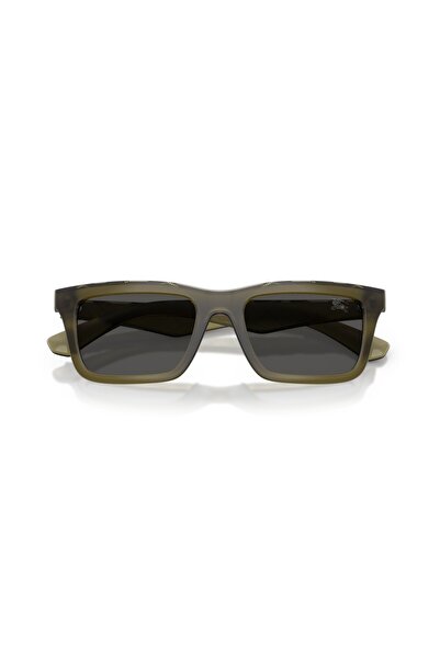 BURBERRY Sunglasses Be4475U 53 421287