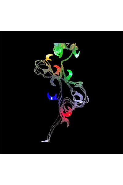 OEM Christmas LED light installation crescent moon, 5 m, 50 bulbs – Multicolor RGB