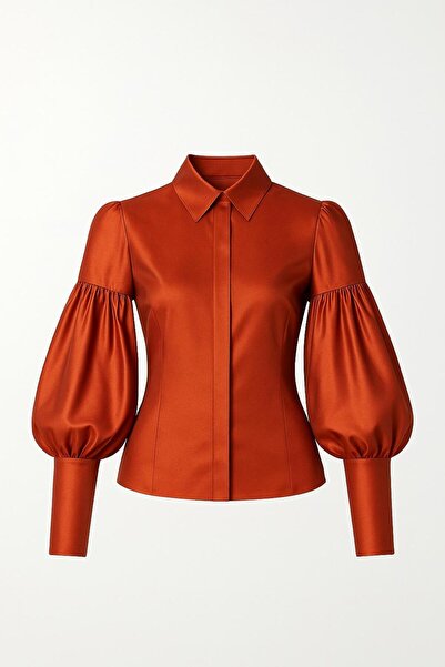 ALYEL NAKER Balloon Sleeve Detailed Taffeta Stylish Design Shirt