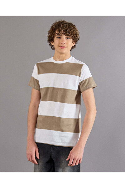 REDTAG Senior Boys White And Beige Striped T-Shirt