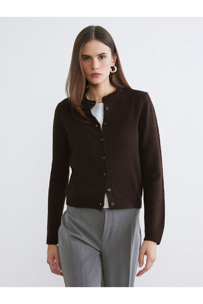 LC Waikiki Brown Crew Neck Women's Knitwear Cardigan