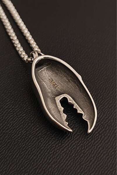 voyageaccessory Astrological Zodiac Stainless Steel Cancer Pendant