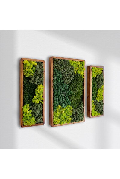 Narium Set de tablouri cu licheni stabilizați