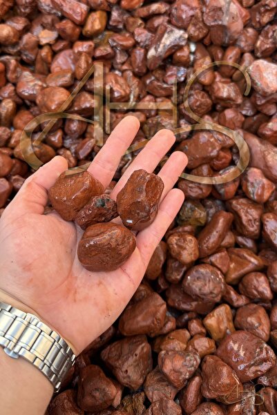 AHS Kırmızı Bordo Dolomit Çakıl Taşı 4-6 Cm 5 Kg Dekoratif Bahçe Peyzaj Saksı...