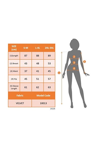 JANES Women's Long Sleeve V Lace Collar Mini Velvet Dress