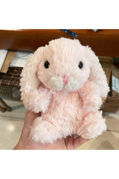 Genaric لعبة جيلي كات، أرنب يامي وبري ، 15 سم، مع حقيبة قماشية، هدية مثالية ل...