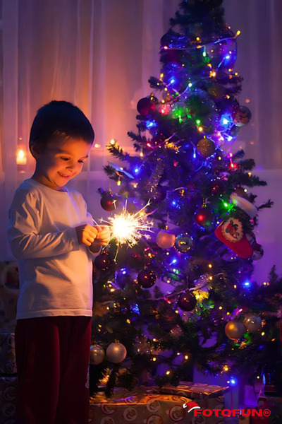 Generic Multicolor Christmas Installation Roll Type, Linear, 50m, 500 LEDs, Outdoor-Indoor Use