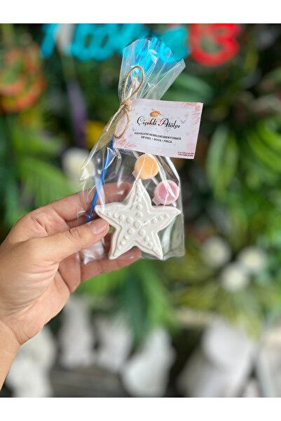 adanaçiçekliatölye DENİZ CANLILARI BOYAMA KİTİ Deniz Yıldızı