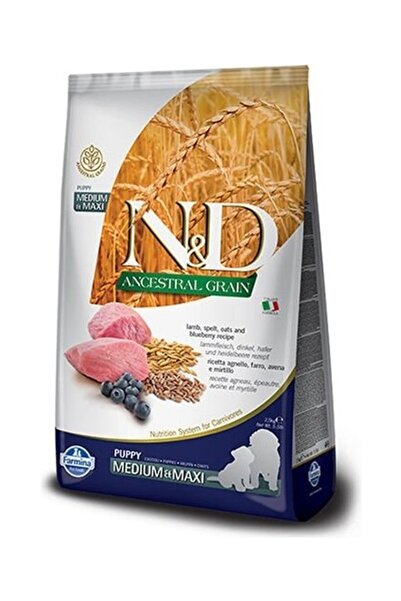 N&D Düşük Tahıllı Kuzu Etli Orta ve Büyük Irk Yavru Köpek Maması 12 kg