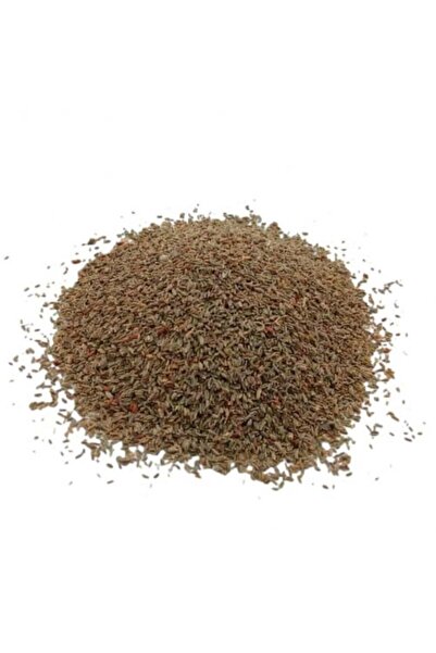 Nature Spirit روح الطبيعة -بذر خله بلدي