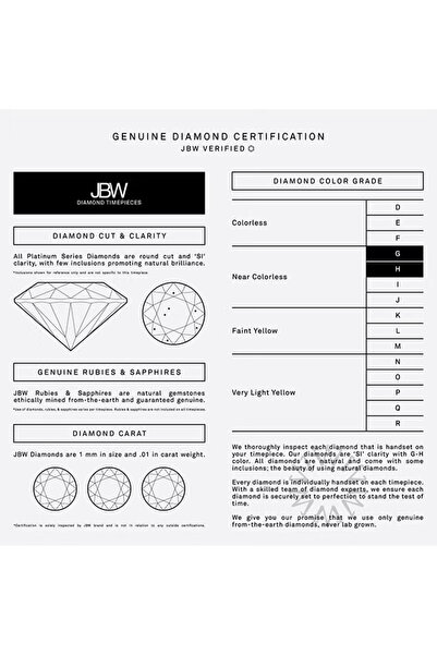 JBW Women Mondrian 0.16 Ctw Diamond Stainless Steel Watch J6303D