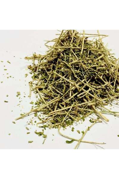 Al Jouf Al-Qaysoum Herb