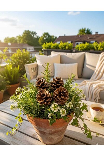 ENRUFLORA DOĞAL BOYASIZ ÇAM KOZALAK 8'Lİ YILBAŞI ÇAM SÜSÜ