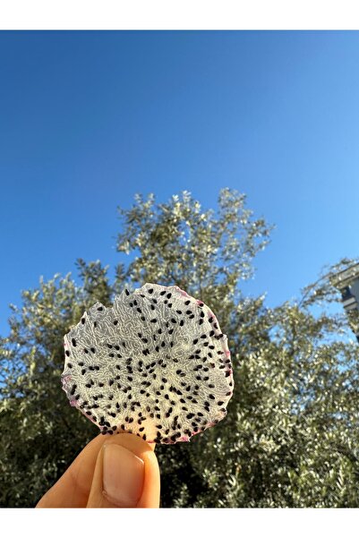 Granbusa Ejder Kurusu Sağlıklı Atıştırmalık Çerez Pitaya 40gr