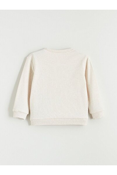 LC Waikiki Lcw Kids Crew Neck Boy Sweatshirt