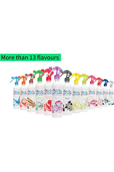 genernic Frida Aqua Peach Scent Air Freshener - 460 ml