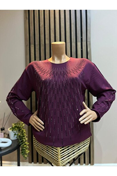 AKMAVİ Kadın Orta Yaş Ve Üzeri Taşlı Şeritli Bordo Anne Penye Bluz