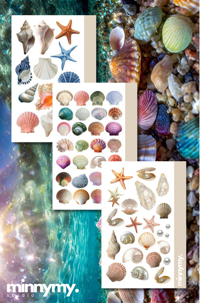 Minnymy Seashell Collection Retro Sticker, Çıkartma, Ajanda, Günlük, Planlayı...