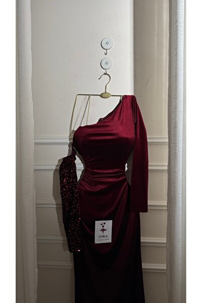 Onila Winter dress with velvet sleeves