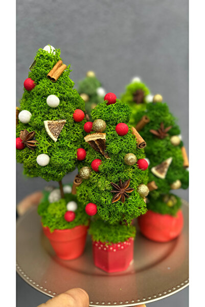 Christmas Fir tree decorated with lichen